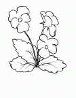 dibujos-de-flores (9)