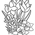 dibujos-de-flores (498)