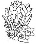 dibujos-de-flores (498)