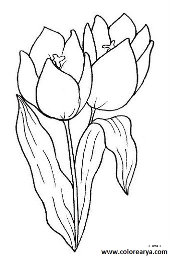 dibujos-de-flores (501).jpg