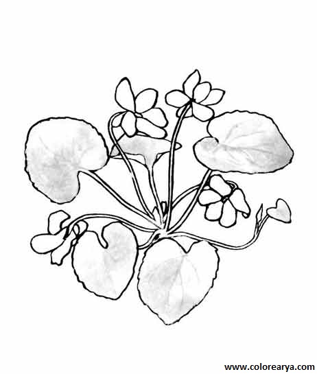 dibujos-de-flores (504)