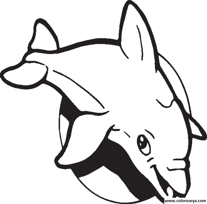 delfin-colorear (1)