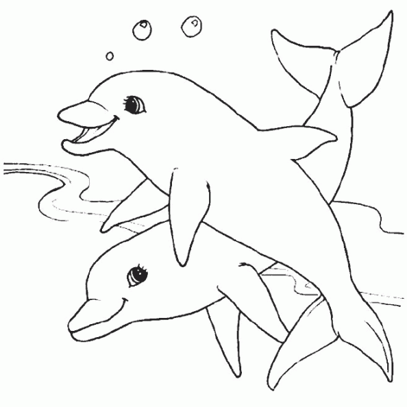 delfin-colorear (2).gif
