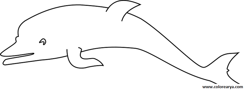 delfin-colorear (2)