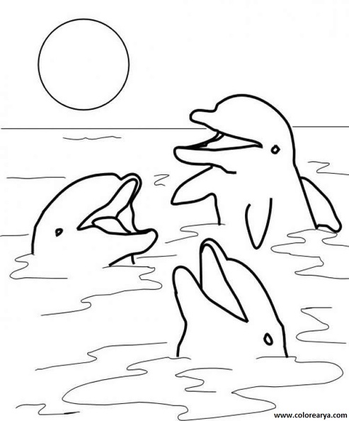 delfin-colorear (3).jpg