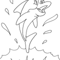 delfin-colorear (3)