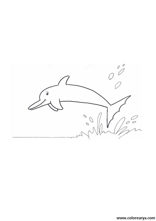 delfin-colorear (4)