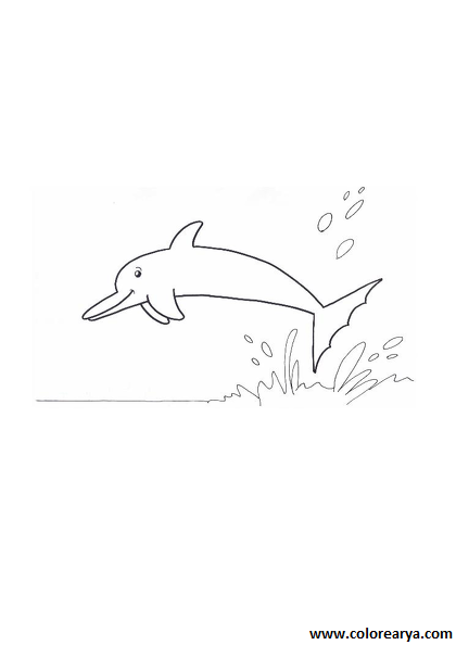 delfin-colorear (4).png