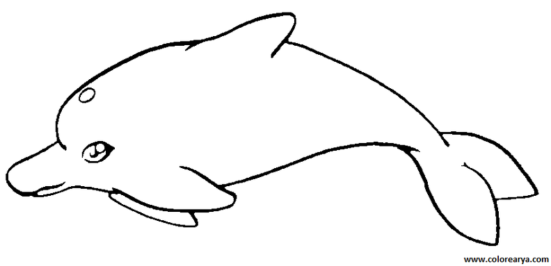 delfin-colorear (5).png