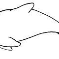delfin-colorear (5)
