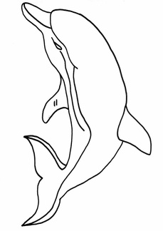 delfin-colorear (7)