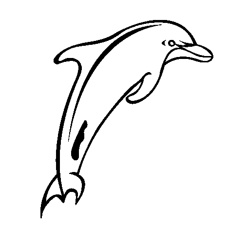 delfin-colorear (9).gif