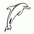 delfin-colorear (9)