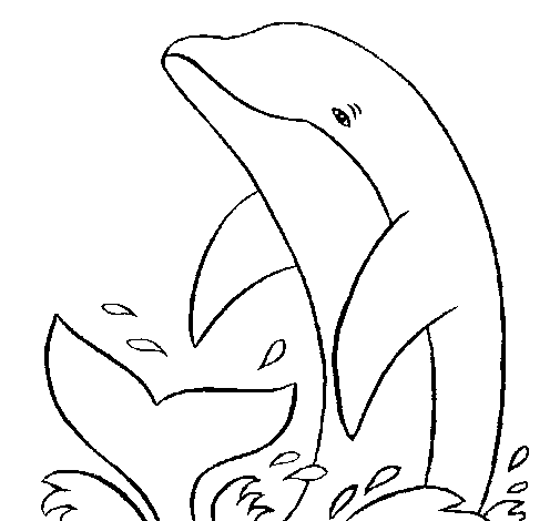 delfin-colorear (11).gif