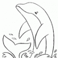 delfin-colorear (11)