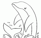 delfin-colorear (11)