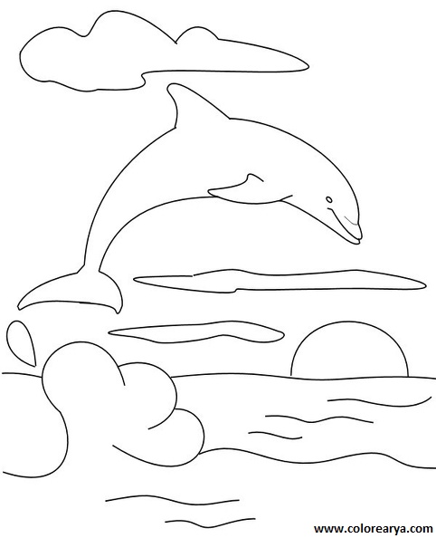 delfin-colorear (12).JPG