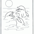 delfin-colorear (13)