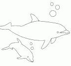 delfin-colorear (14)