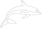 delfin-colorear (14)