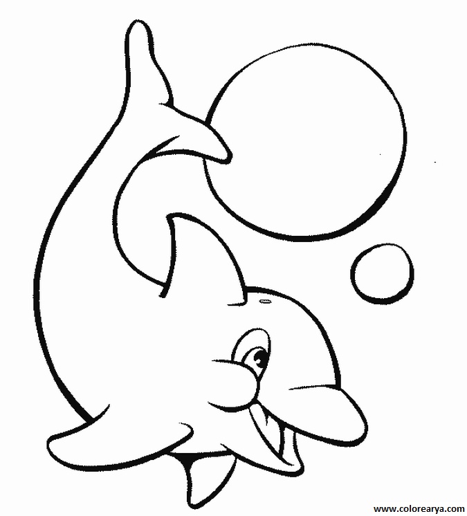 delfin-colorear (61)