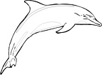 delfin-colorear (148)