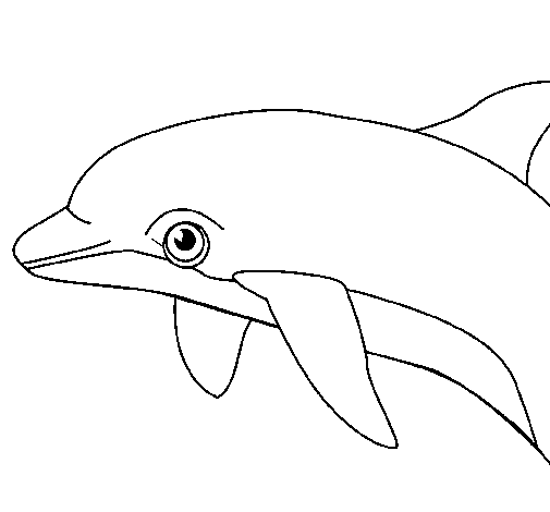 delfin-colorear (1000)