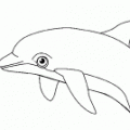 delfin-colorear (1000)