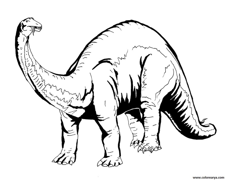 dibujos-de-dinosaurios (1).jpg