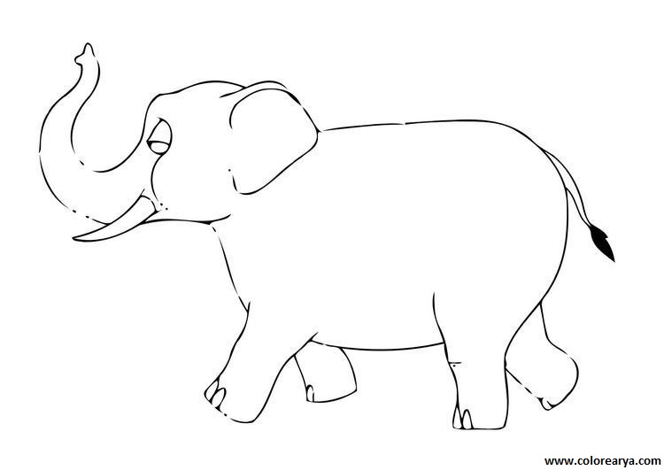 elefante-colorear (1).jpeg