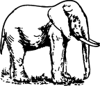 elefante-colorear (17)