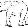 elefante-colorear (70).jpg