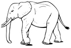 elefante-colorear (70)