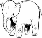elefante-colorear (129)