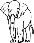 elefante-colorear (132)