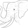 elefante-colorear (141)