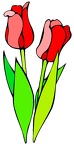 flores (4)