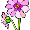 flores (7)