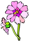flores (7)