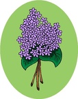 flores (1116)