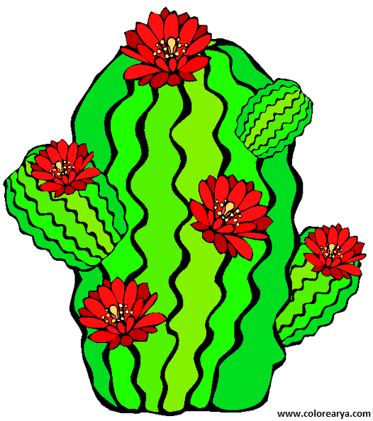 CACTUS-CLIPART (2).png