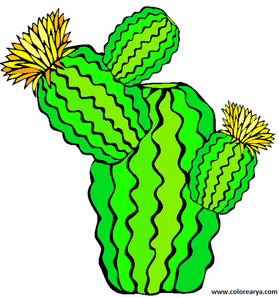 CACTUS-CLIPART (3).png