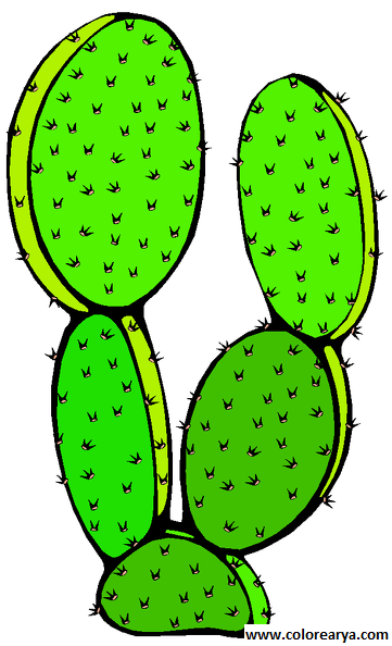 CACTUS-CLIPART (5).png