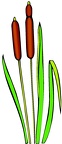Plantas-Acuaticas (2)