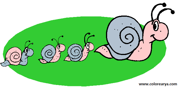 CARACOL-CLIPART (1).png