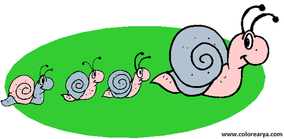 CARACOL-CLIPART (1)