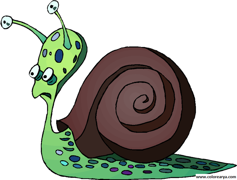 CARACOL-CLIPART (2).png