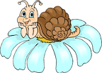 CARACOL-CLIPART (3)