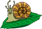 CARACOL-CLIPART (4)