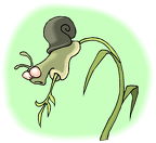 CARACOL-CLIPART (6)